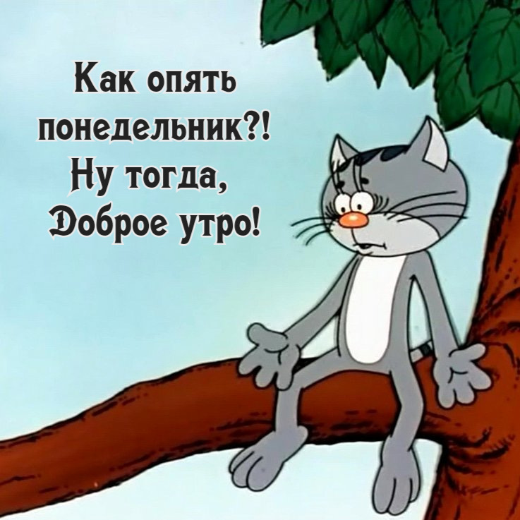 Доброе утро понедельника