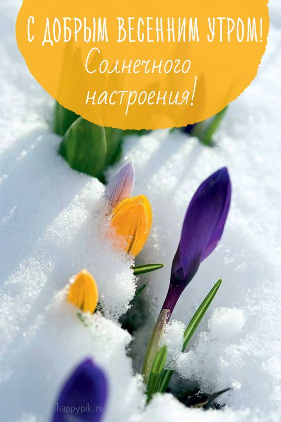 Доброе утро! 🌸 Счастливой вам Весны! 🌺 С Добрым весенним 