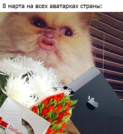 Открытки 