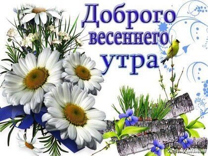 Самое Красивое Пожелание С Добрым Утром от души 🕊️ С Добрым 