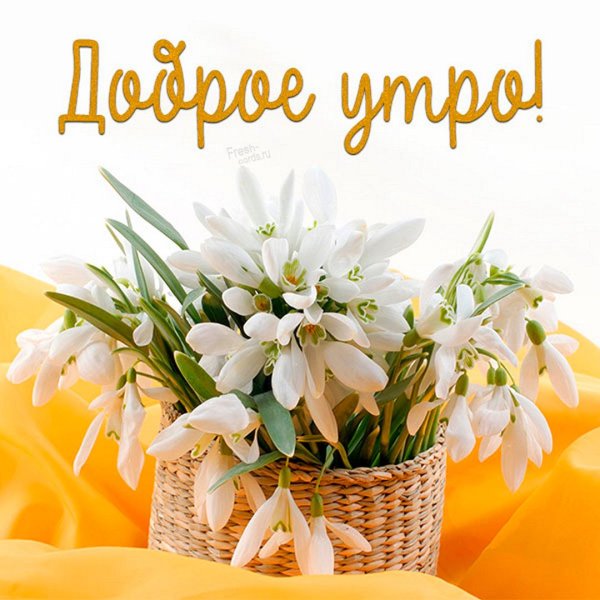 💌☀️😄 Картинки Хорошего дня