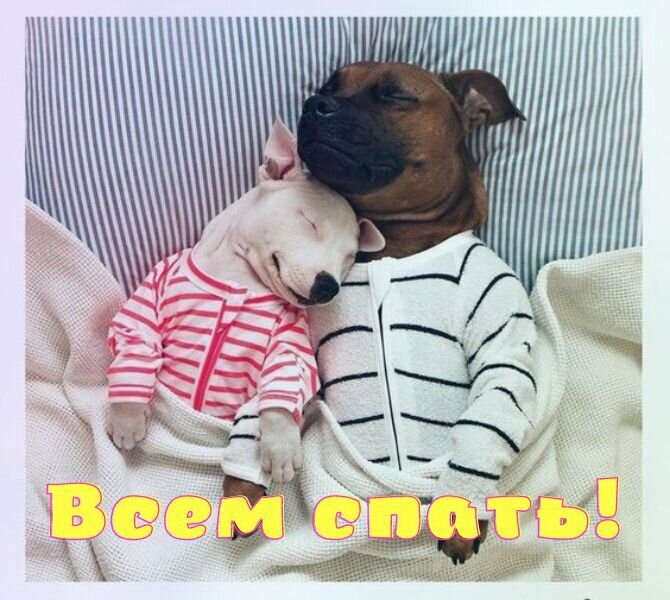 Спокойной ночи! Сладких снов! 😴#спокойнойночи #сладкихснов 