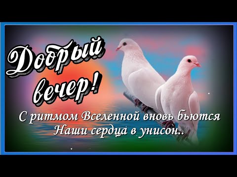 Открытки Добрый Вечер Мужчине 