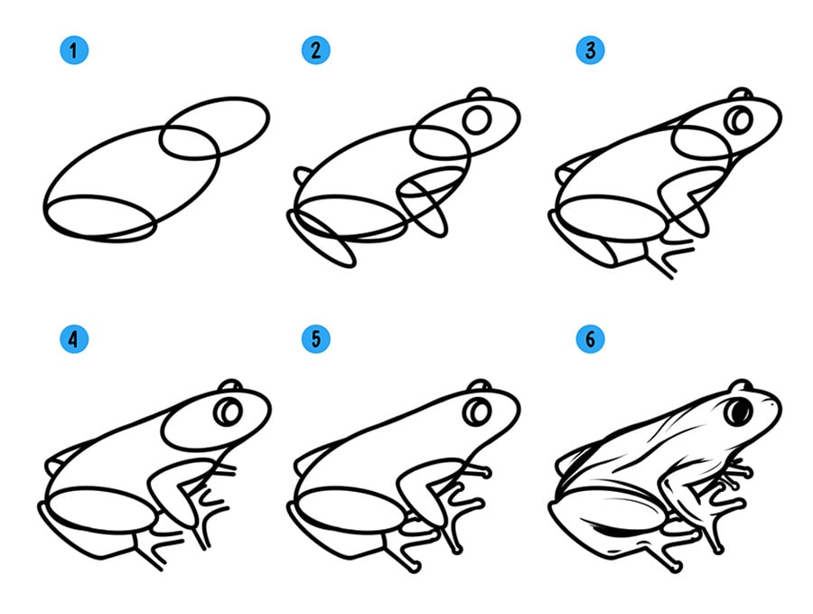 Рисунки животных лягушка 