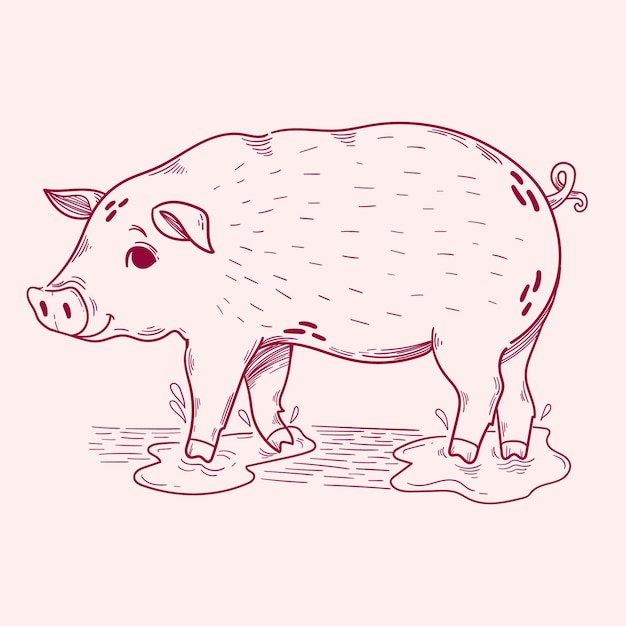 How to Draw a Pig / Как нарисовать 