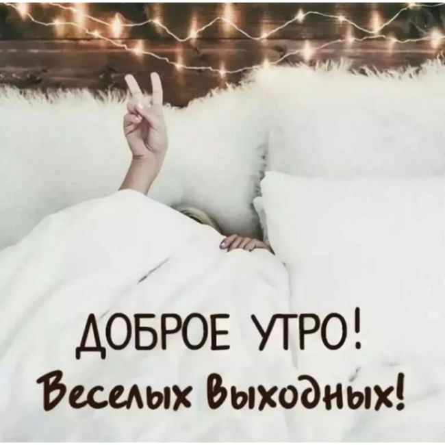 Юмор в ленту🙃 доброе утро и хорошей 