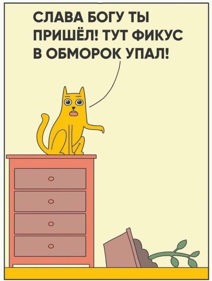 Котоматрица