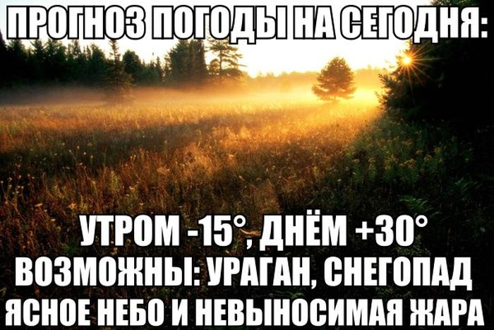 Чудеса природы