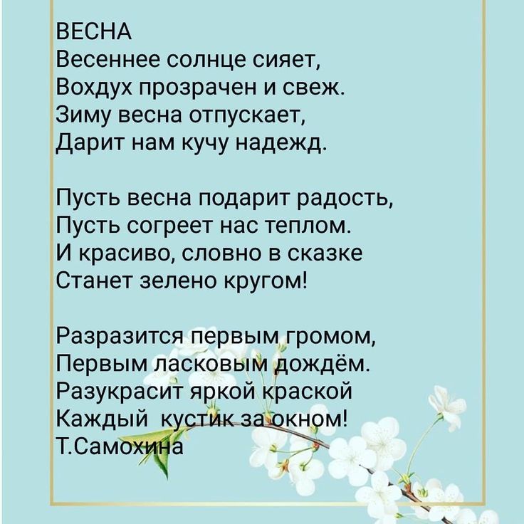 Красивые Весенние Цветы — стоковые 