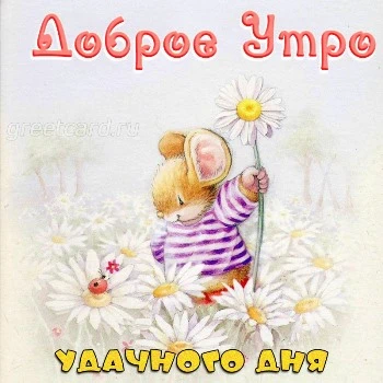 Доброе утро!Музыкальные открытки!