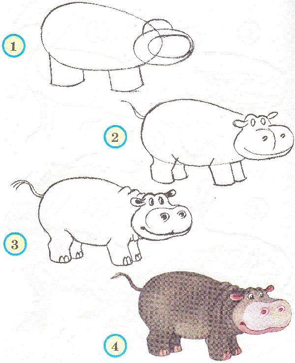 to draw a cute hippo 