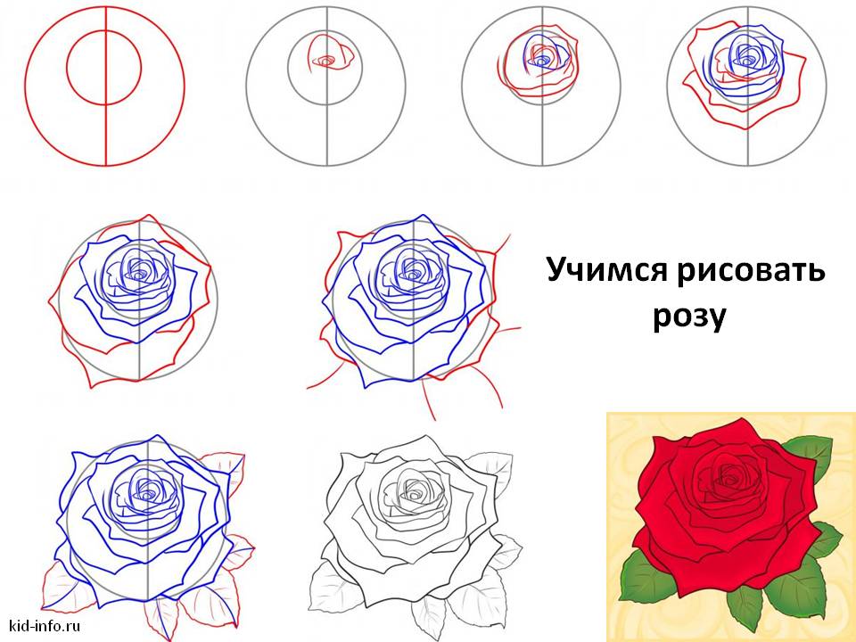 Цветы Акварелью для Начинающих Поэтапно Как Нарисовать 