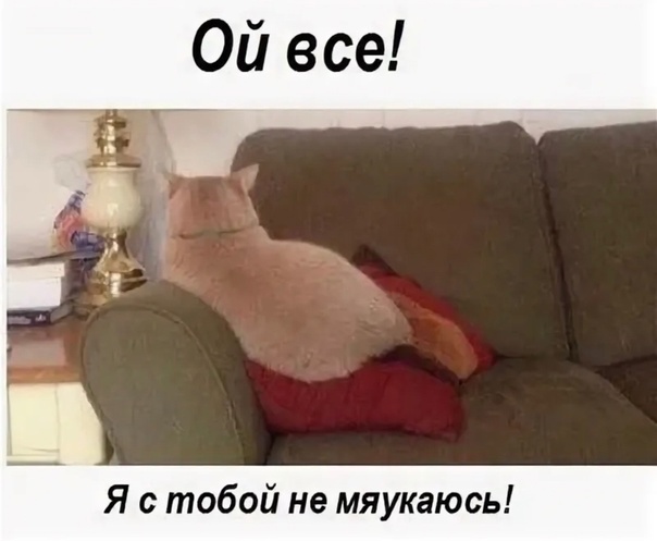 Котоматрица