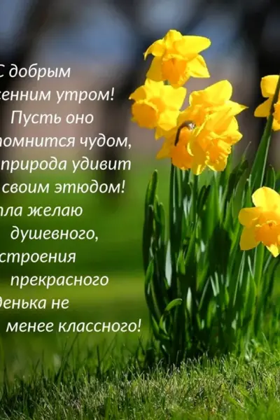 Красивые картинки Природа лето на аву 