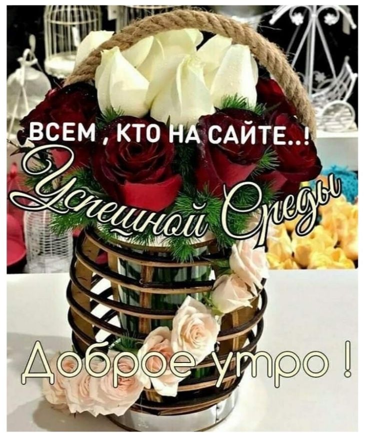 Удачной среды! 🦋 Поздравление со средой и пожеланиями 