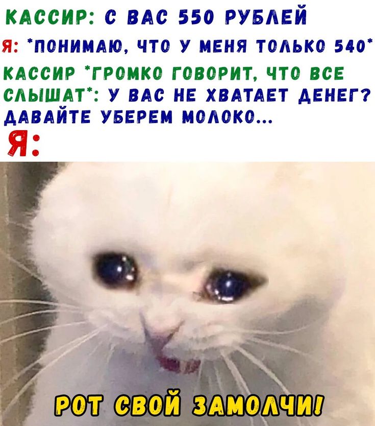 Дай денег и улыбок