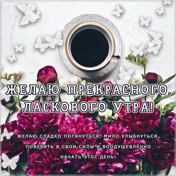 Ласковая открытка, доброго солнечного утра 