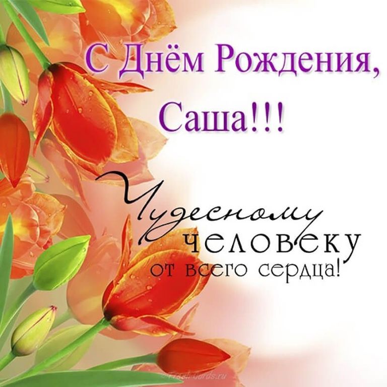 Александра, aleks 979, с Днём рождения!