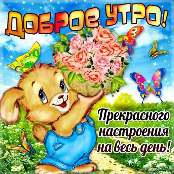 Доброе утро