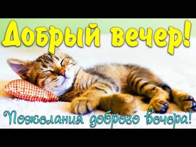 Веселые гифки добрый вечер 38 шт