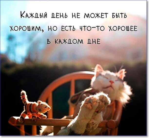 Всем хорошего дня 🙏 #юмор #ржака #смех 