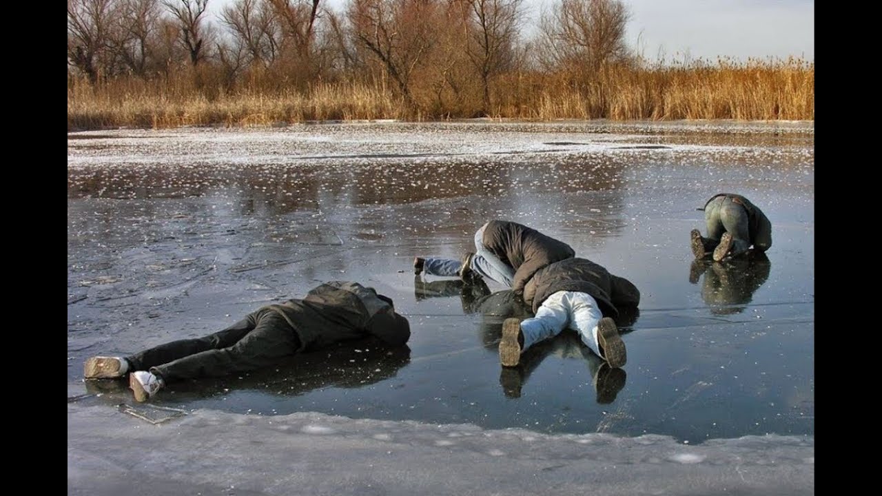 Видео рыбалка и Животные