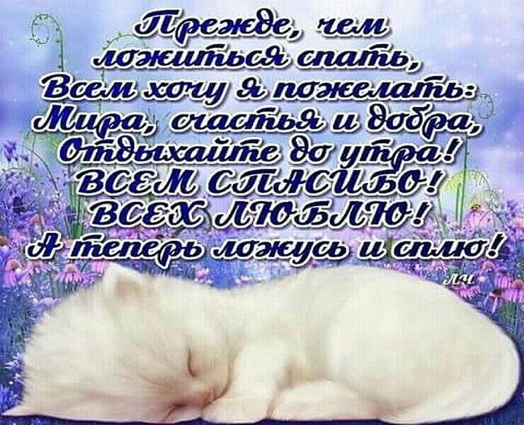 Спокойной ночи