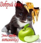 C добрым утром и хорошего дня! Красивые 