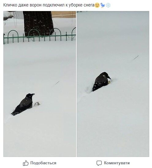 Картинки смешные привет весна 