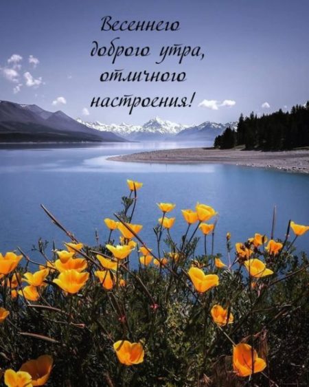 Картинки доброе утро и прекрасного дня с природой 