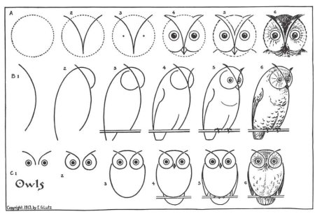Как нарисовать сову карандашом поэтапно