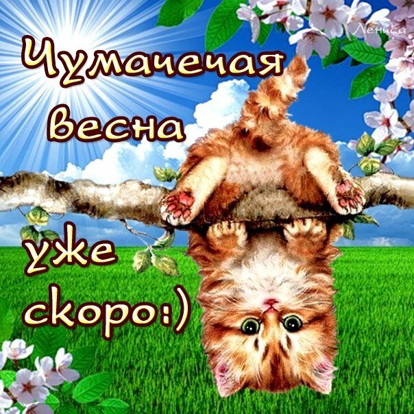 Красивые картинки Вот и весна 