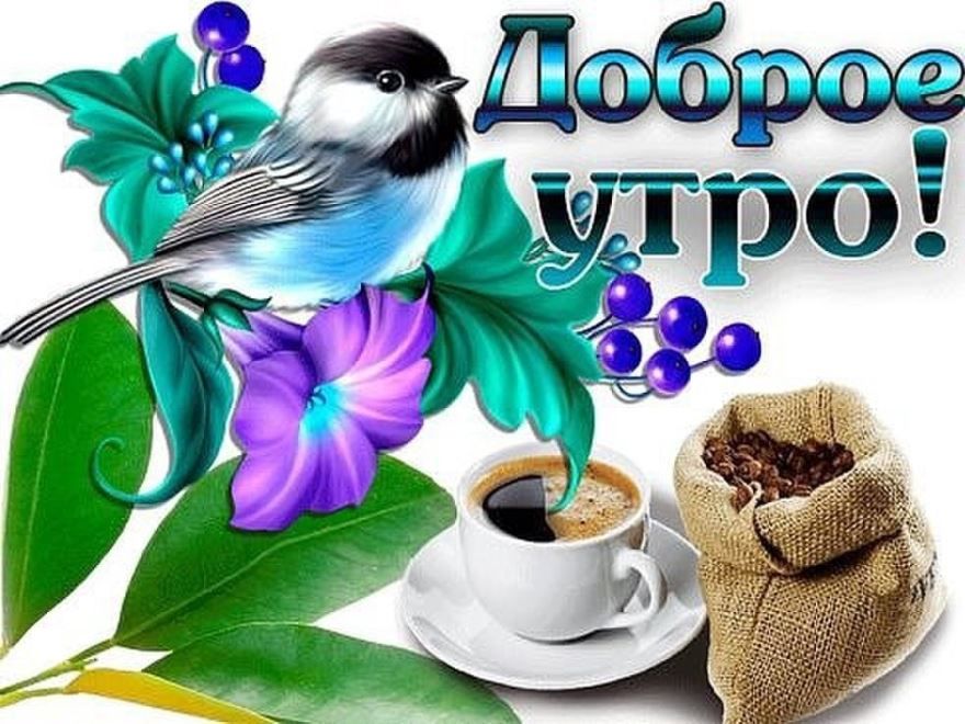 Доброе утро