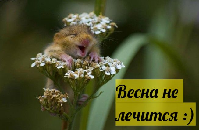 Сегодня первый день Весны!!!!