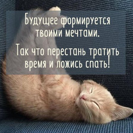 😴Баю-баюшки-баю! 🛌Интересные и уютные стихи-засыпалочки 