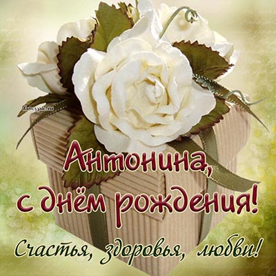 С днем рождения антонина