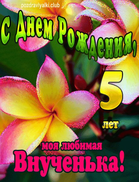 С днем рождения! Ребенку исполнилось 5 лет 