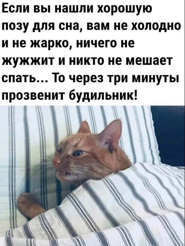 Прикольные Песни Про Сон 