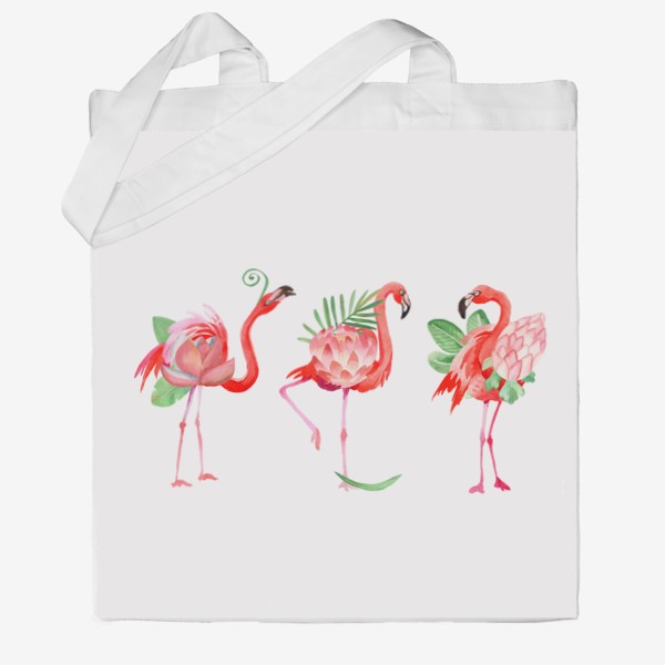 Bright flamingos