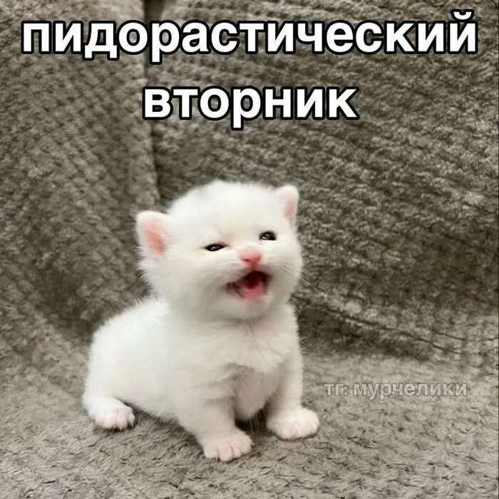 Прикольные картинки Доброе утро 👍 😄