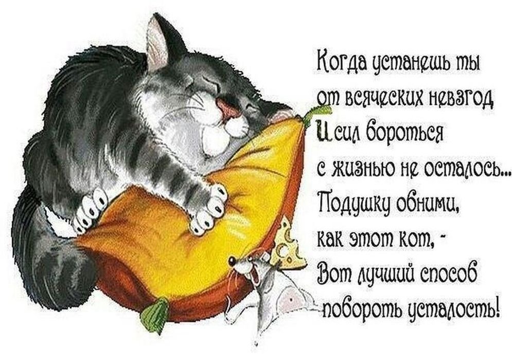 Котоматрица