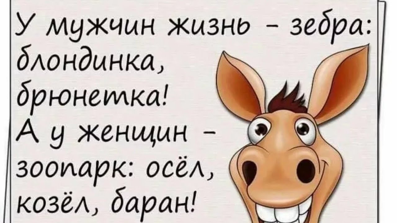 Веселые и оригинальные открытки 