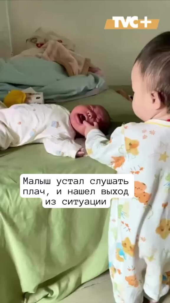 Смешные картинки про кошек с надписями