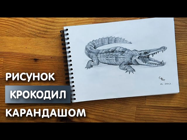 Давайте нарисуем крокодила 🐊 Рисунок 