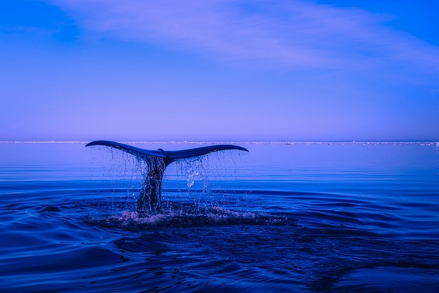 Красивая поверхность воды в бассейне 