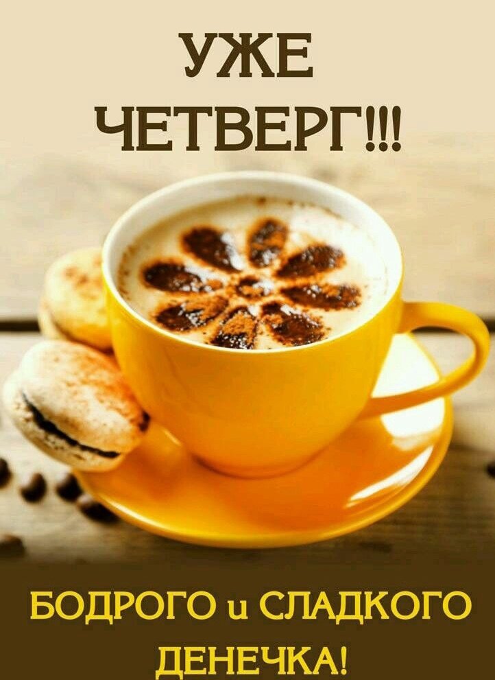 ЧЕТВЕРГ! С добрым утром, хорошим днём и вечером 🌺 