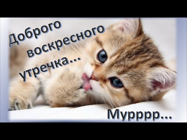 Картинки «Доброе утро!» скачать для Ватсап WhatsApp бесплатно