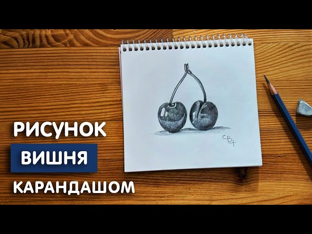 Рассмотри рисунок и отметь, под какими цифрами на рисунке 