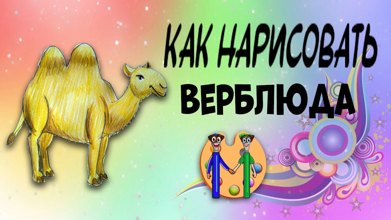 верблюд верблюд PNG и картинки пнг 