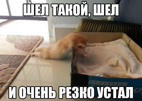 Очень устал 